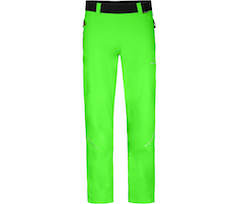 Gecko gr�n