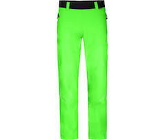 Gecko gr�n