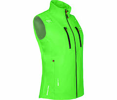 Gecko gr�n